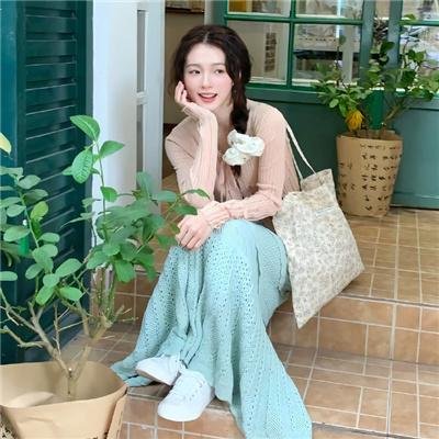 狮子退贼