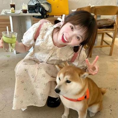 上海小姐